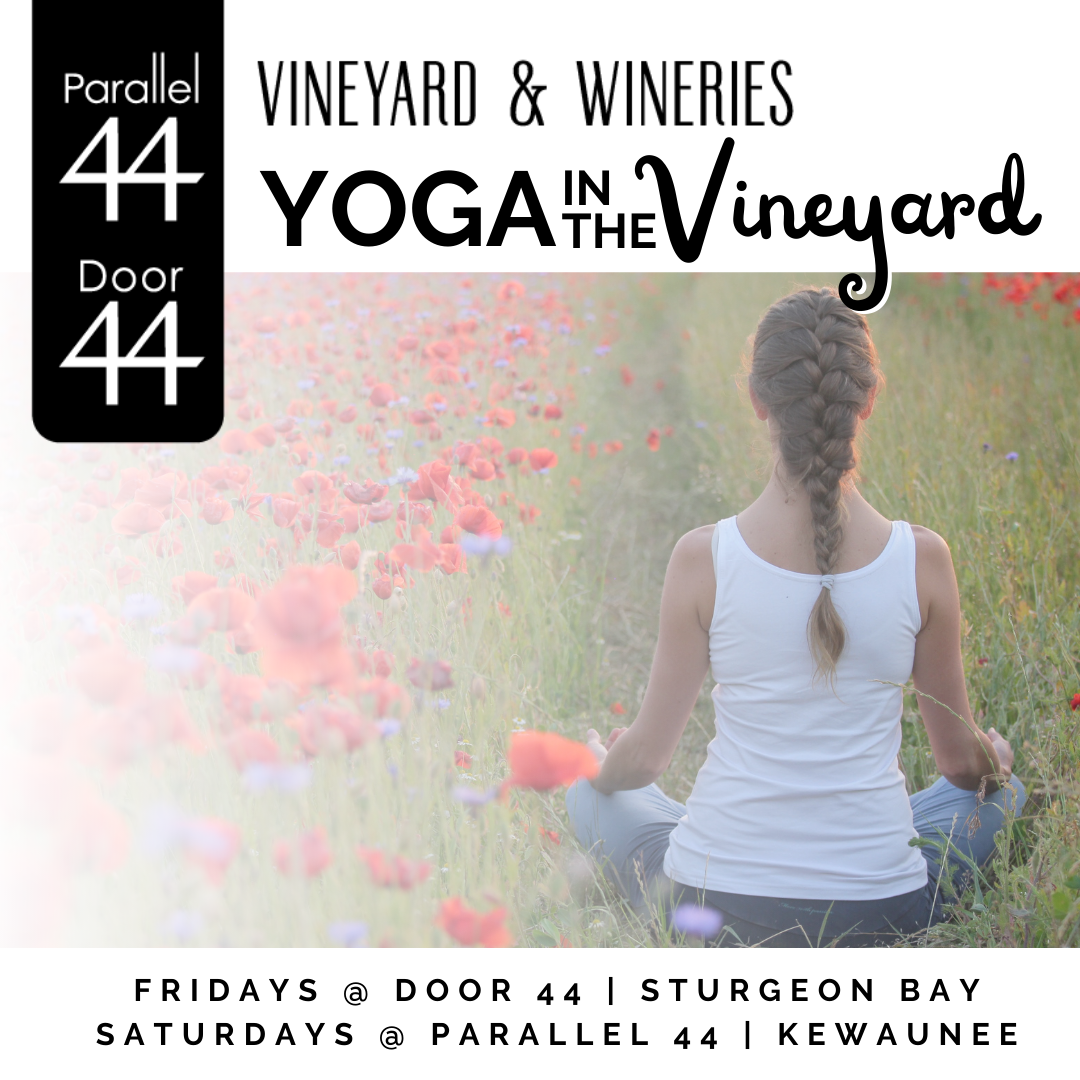 Yoga in the Vineyard