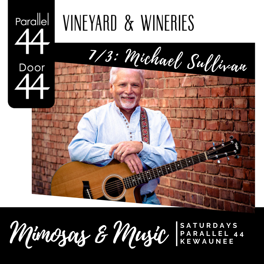 Michael Sullivan live music