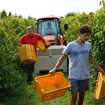 winery tours Door County WI